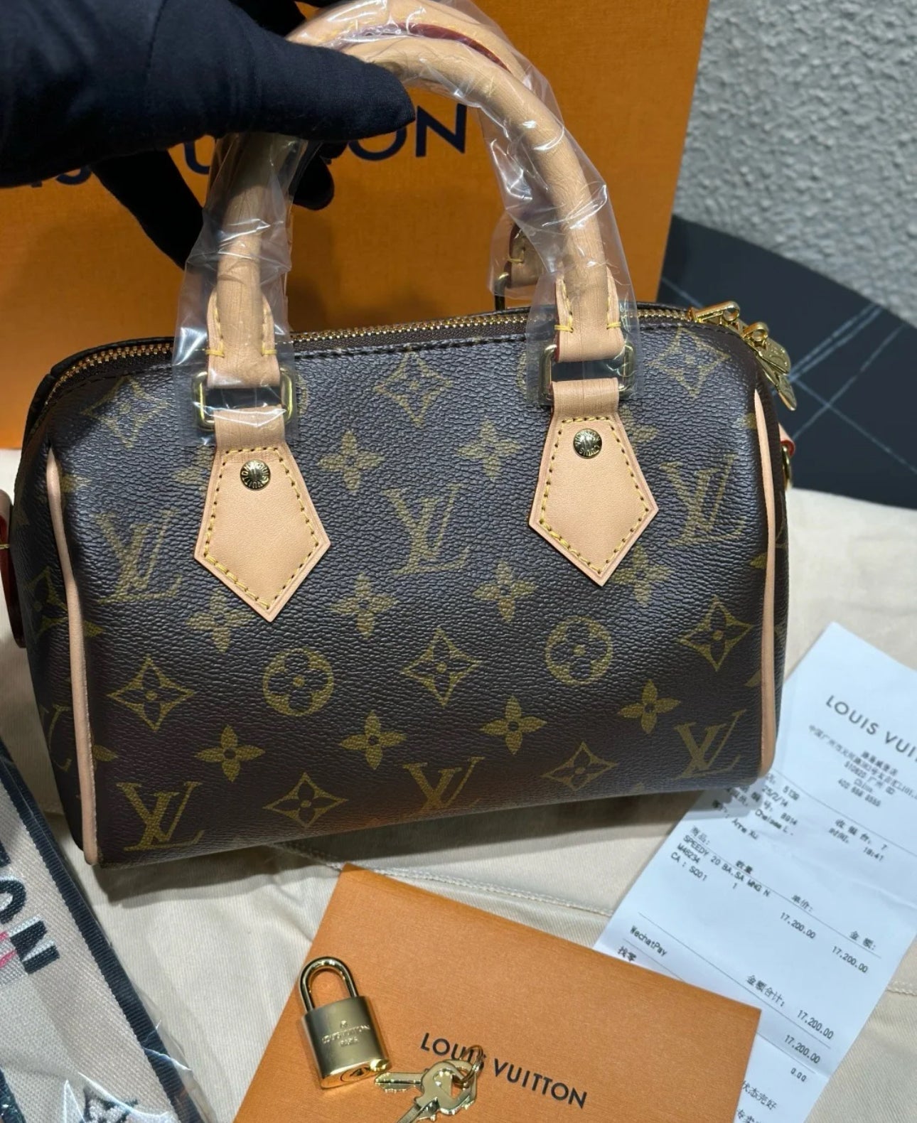 LV Speedy Bag